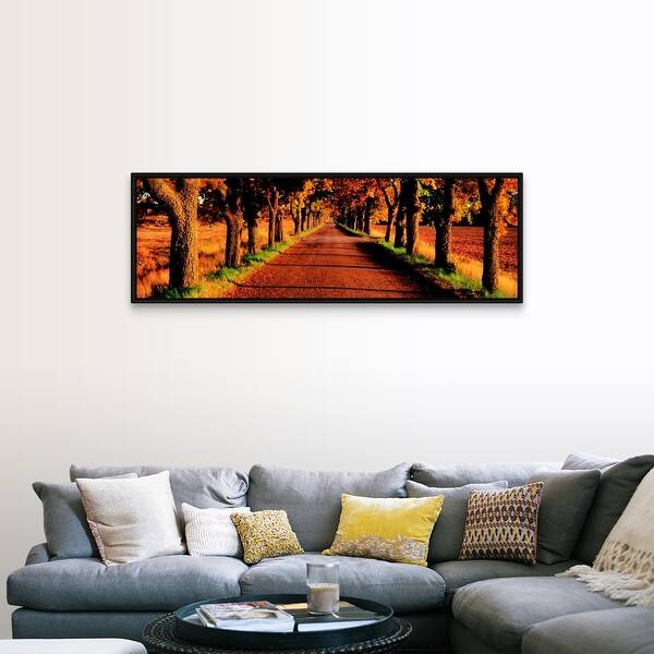 Shop Tree Lined Road Black Float Frame Canvas Art Overstock