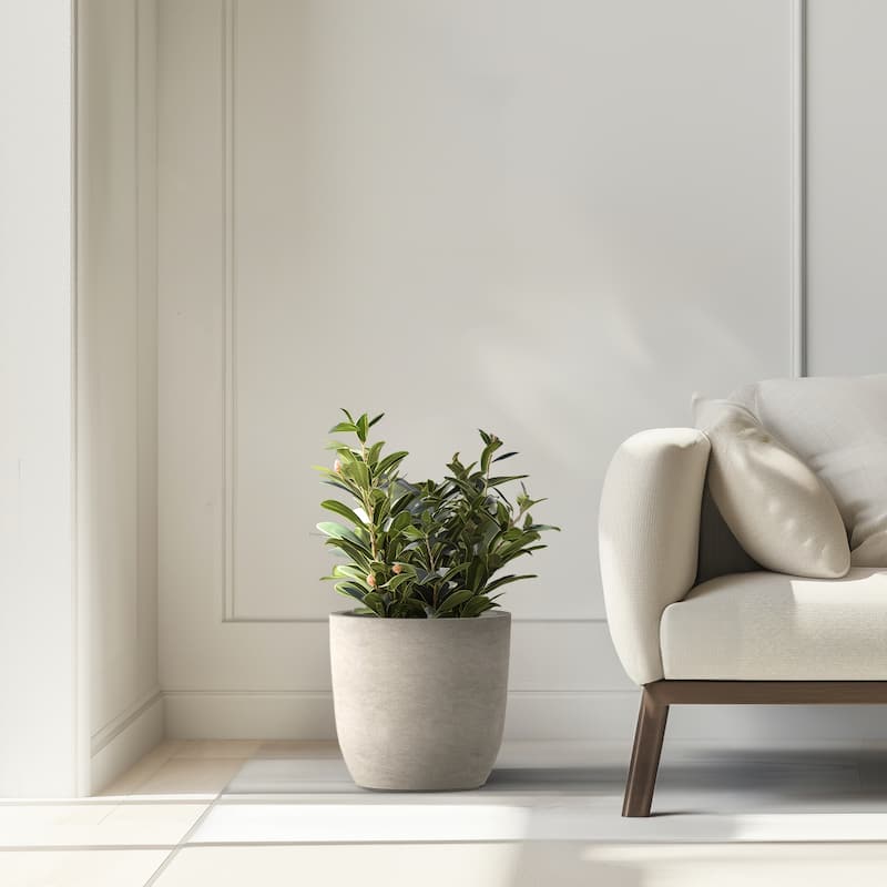 Tall Concrete Round Plant Pots / Large Indoor and Outdoor flower Planters