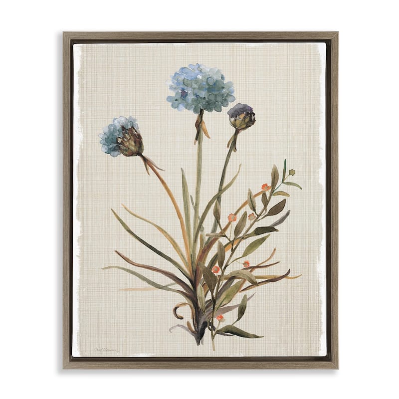 Stupell Natural Hydrangea Buds Framed Floater Canvas Wall Art Design By Carol Robinson - 25 x 31 - Brown