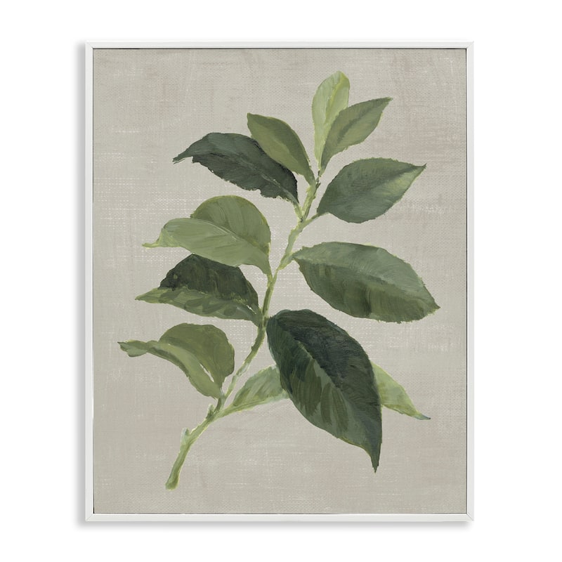 Stupell Arabica Coffee Plant Leaf Framed Giclee Art Design By Lanie Loreth - 11 x 14 - White