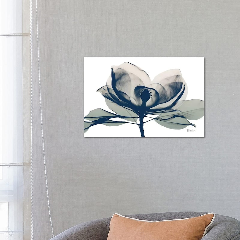 iCanvas "Blue Ranged Magnolia I" by Albert Koetsier Canvas Print - 18x26x1.5