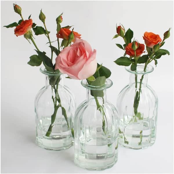 HANIHUA 3 Sets Clear Glass Vase for Round Vintage Glass Bottles - Bed Bath & Beyond