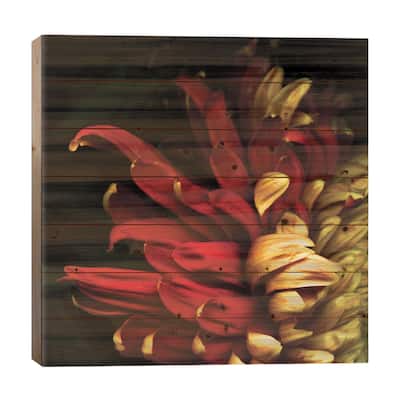 Y Viva Espana Print On Wood by Magda Indigo - Multi-Color