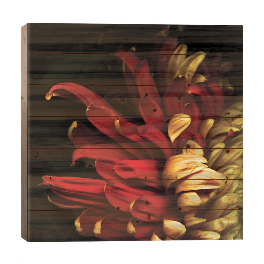 Y Viva Espana Print On Wood by Magda Indigo - Multi-Color