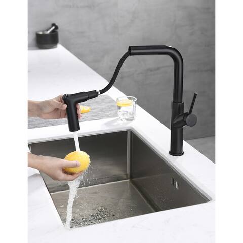 Single Handle Pull-out Kitchen Faucet Matte Black