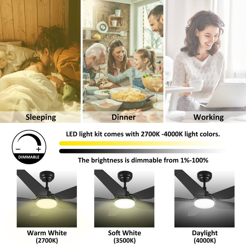 CARRO Boreas 52" Smart Ceiling Fan with Light and Remote-Downrod