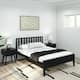 Option Black