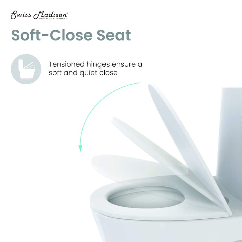Nice One-Piece Elongated Toilet Dual-Flush 1.1/1.6 Gpf - 26.8" x 14.2" 27.6"
