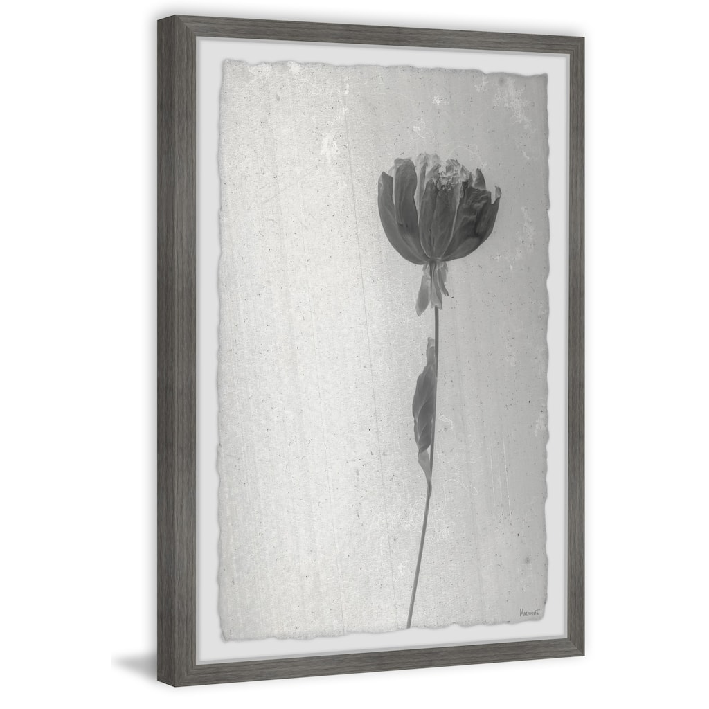 Beauty and Purity Framed Print