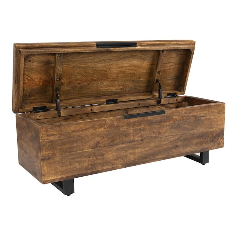 Zoe Storage Trunk by Kosas Home