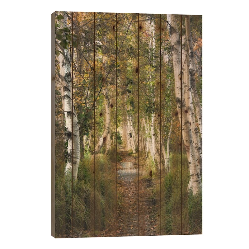 Birch Path I Print On Wood by Danny Head - Multi-Color - 40x26x1.5