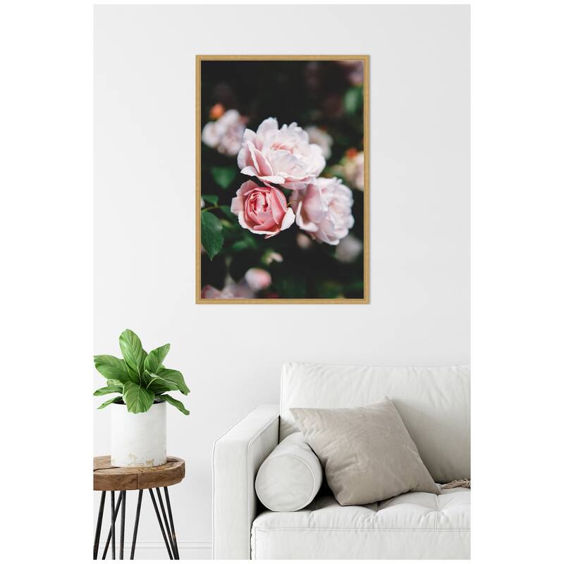 Kate and Laurel Sylvie Delicate Light Pink Rose Floral Framed Canvas by Patricia Hasz of Patricia Rae Photography
