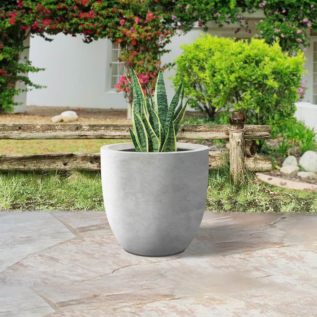 Plantara 14"D Round Raw Concrete planter with Drainage Hole, Outdoor Flower pot, Modern Planter pot for Garden