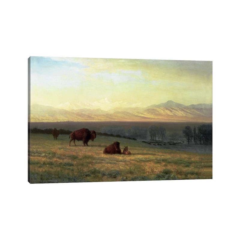 iCanvas "Buffalo on the Plains, c.1890 " by Albert Bierstadt Canvas Print