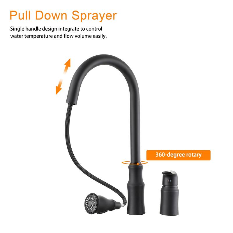 Kitchen Sink Faucet with Separate Handle, Matte Black