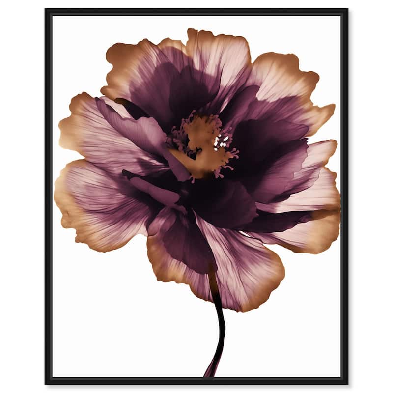 Lilac Blooming II Canvas by Art Remedy - 16" x 20" - Black