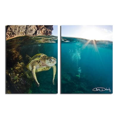 Ready2HangArt 'Maui Turtle & Divers' 2-Piece Wrapped Canvas Wall Art Set