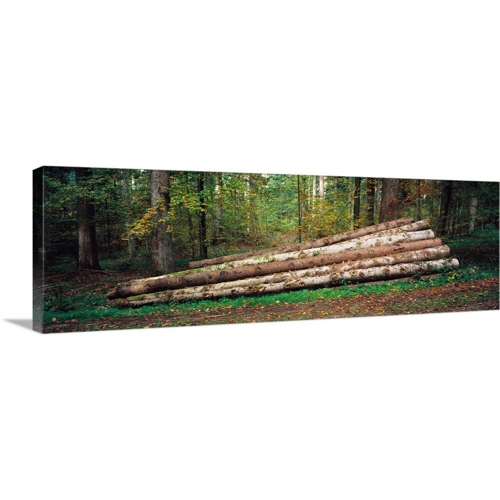 Shop Stack Of Logs In A Forest Black Forest Baden Wurttemberg Germany Canvas Wall Art Free Shipping Today Overstock 21008476