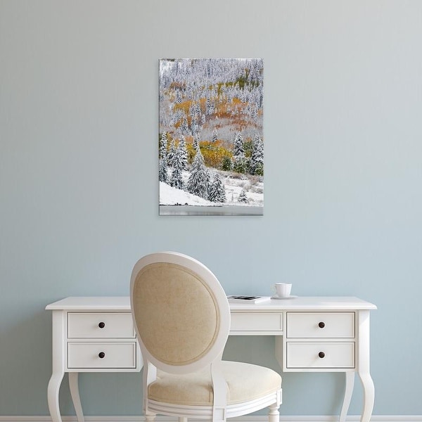 Easy Art Prints Terry Eggers's 'Snow Covered Aspens And Firs' Premium Canvas Art