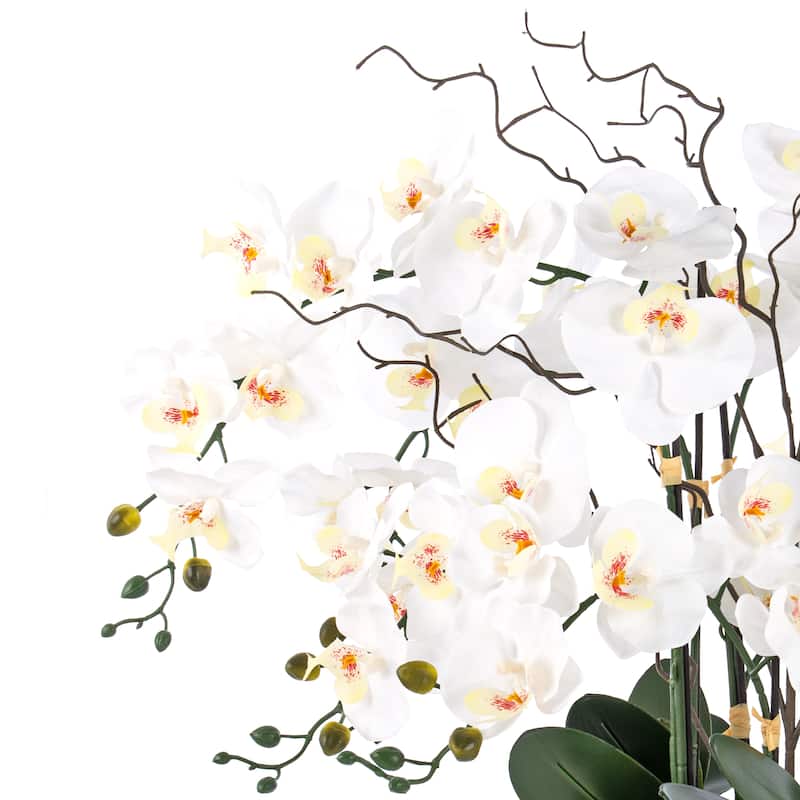 9 Stems Nearly Natural White Phalaenopsis Orchids with Succulents in White Magnesium Oxide Pot - 36.22" H x 35.43" W x 35.43" D
