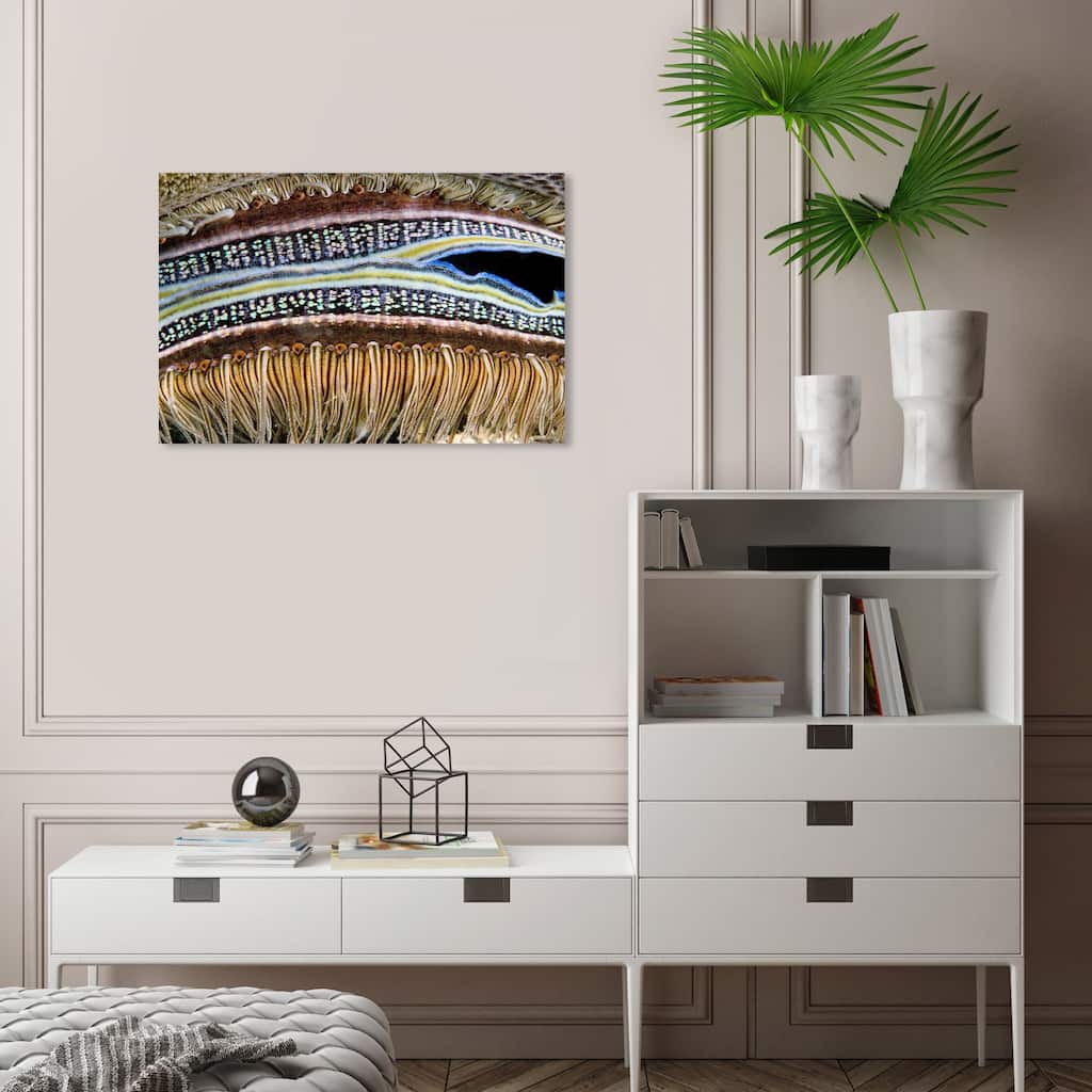 Wynwood Studio Nautical and Coastal David Fleetham - Coral Boring Scallop Brown and Nautical & Coastal Wall Art Canvas Print