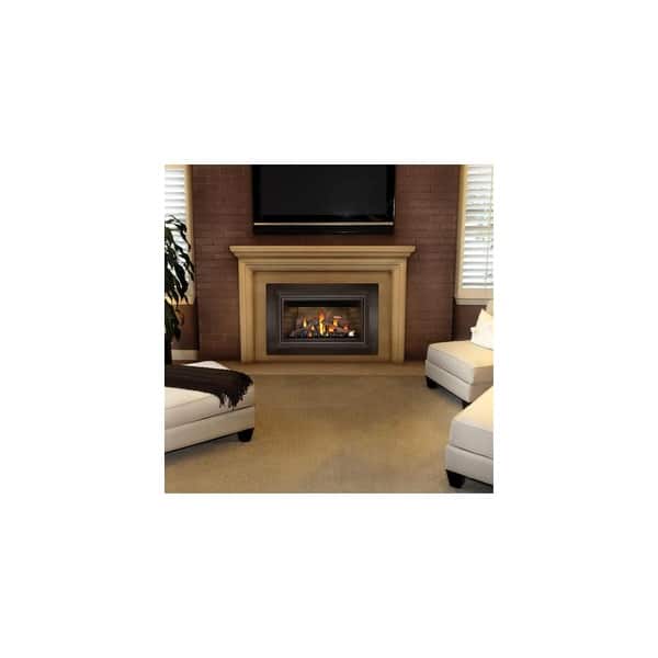 Shop Napoleon Gdizc Sb 24000 Btu Insert Direct Vent Natural Gas