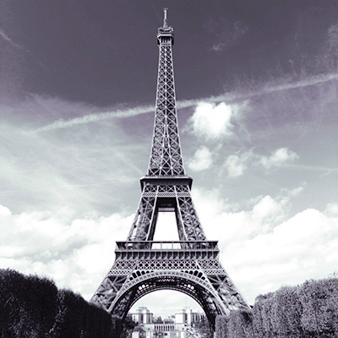 Shop Eiffel Tower Print Home Decor Shower Curtain W 12 Hooks Rings