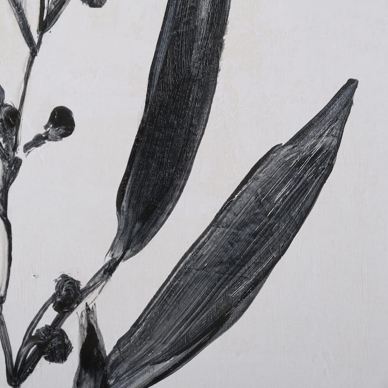 Botanical Study I Framed Art Print