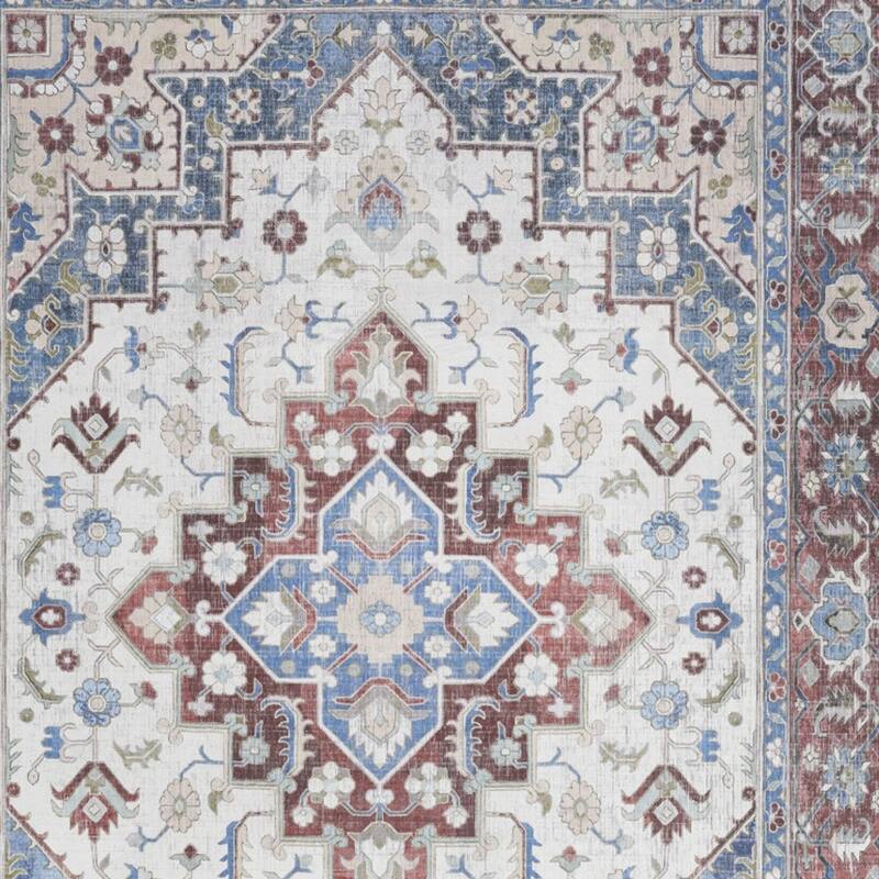 Lahuf Power Loomed Distressed Non Skid Stain Resistant Low Pile Area Rug By HomeRoots - 84' X '60' X '0.2