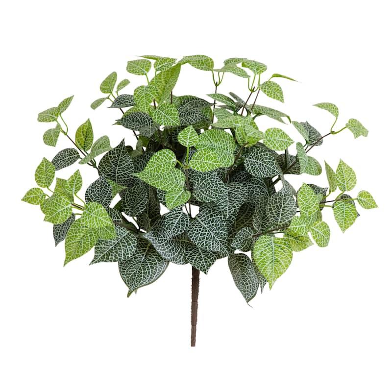 19-in UV Resistant Artificial Fittonia Bush - Set of 3