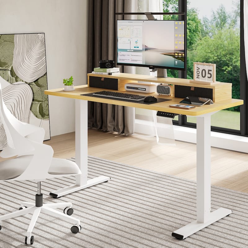 FlexiSpot 48"x24"/55"x24" Ergonomic Height Adjustable Standing Desk with 2 Drawers, Monitor Stand Computer Desk