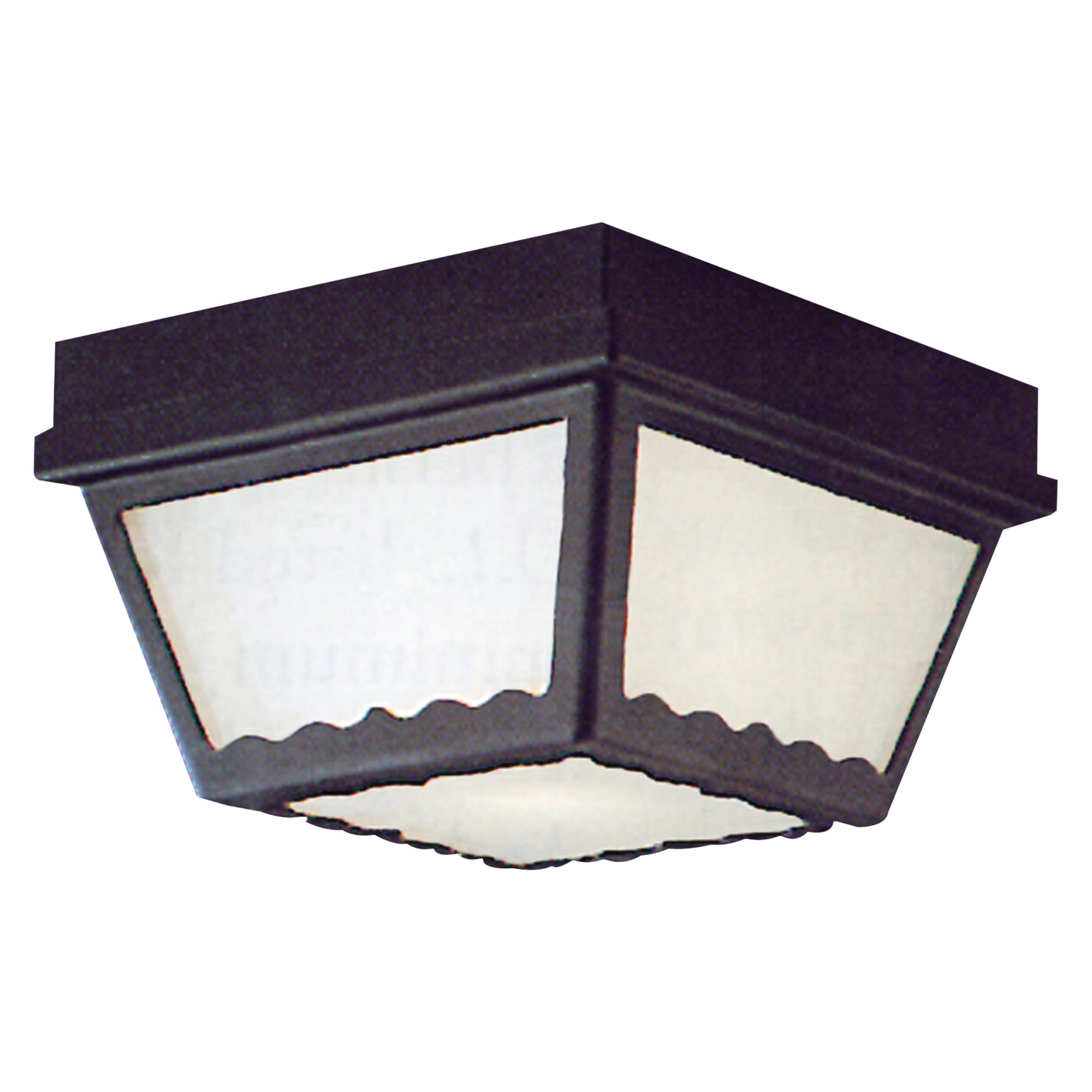 2-Light Outdoor Flush Mount Ceiling Light Fixture - 9.5" - Black