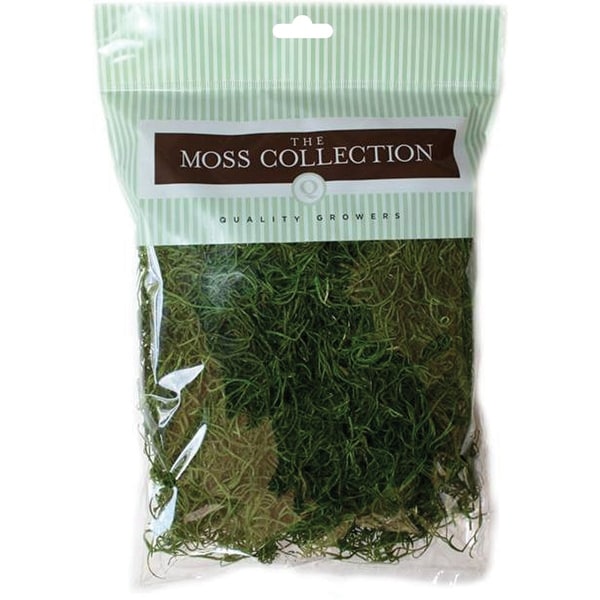 Preserved Spanish Moss 108.5 Cubic Inches-Apple Green