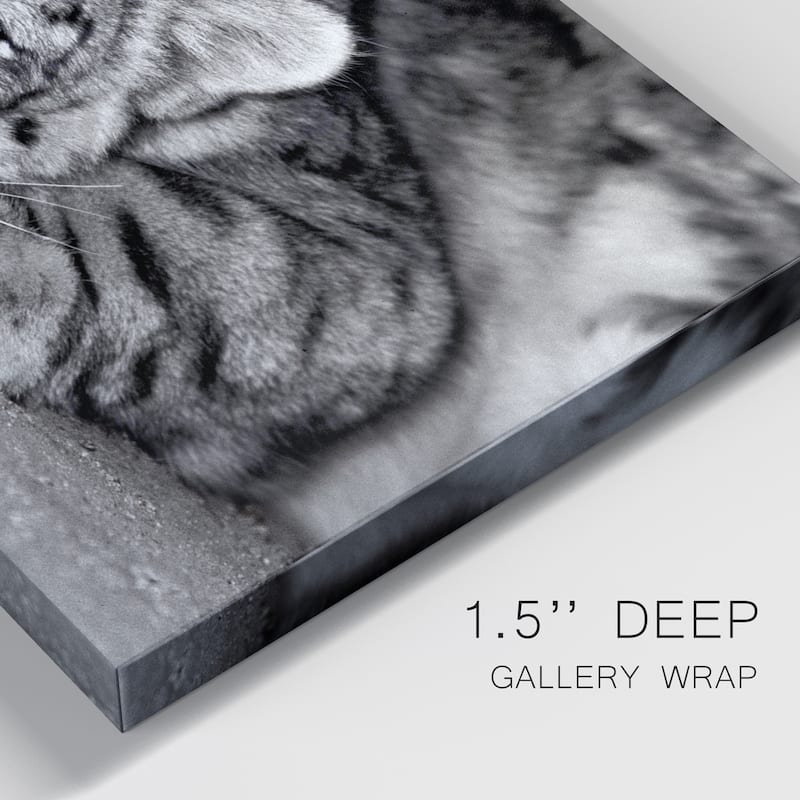 Snow Leopard Sanctuary Premium Gallery Wrapped Canvas - Ready to Hang
