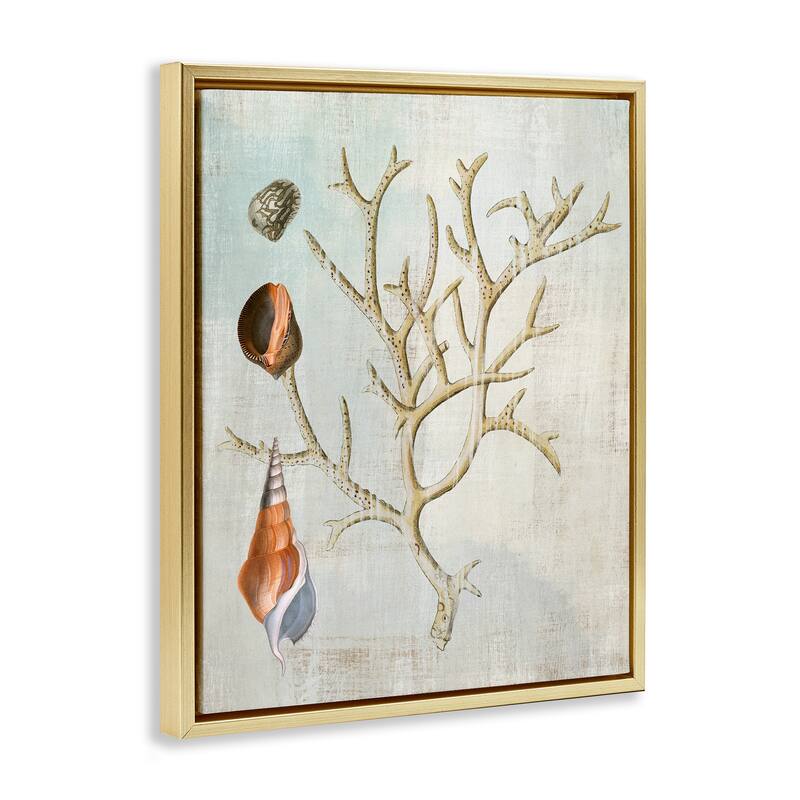 Stupell Seashells and Coral Branch Framed Floater Canvas Wall Art Design By Susan Arnot