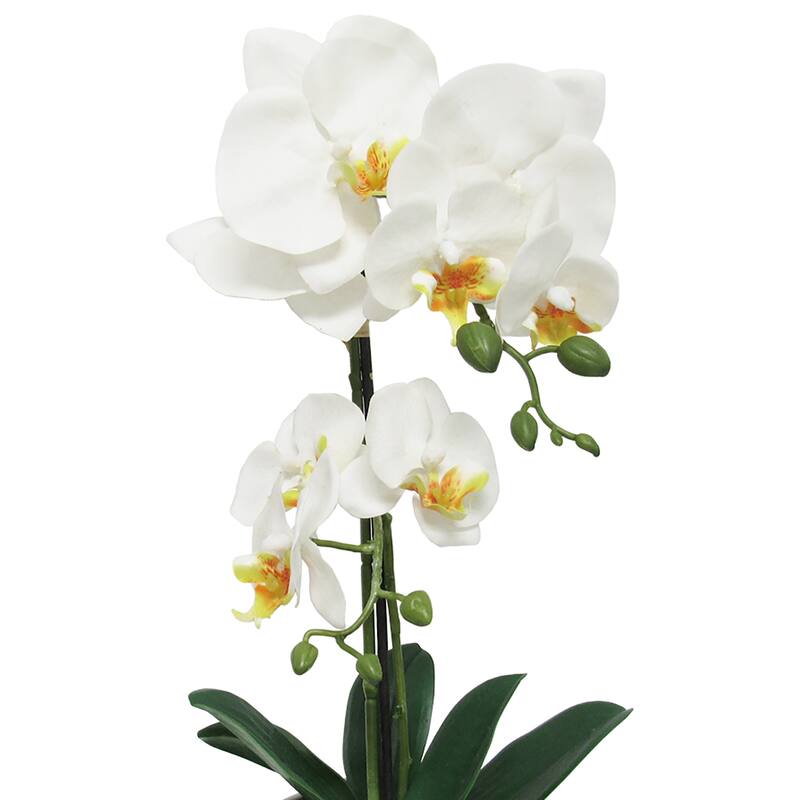Artificial Phalaenopsis Orchid Flower Arrangement in Pot 16in