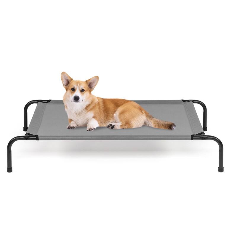 43 in. x 26 in. Iron Frame Mesh Top Outdoor Dog Cot - 43 in. x 16 in. x 8 in.