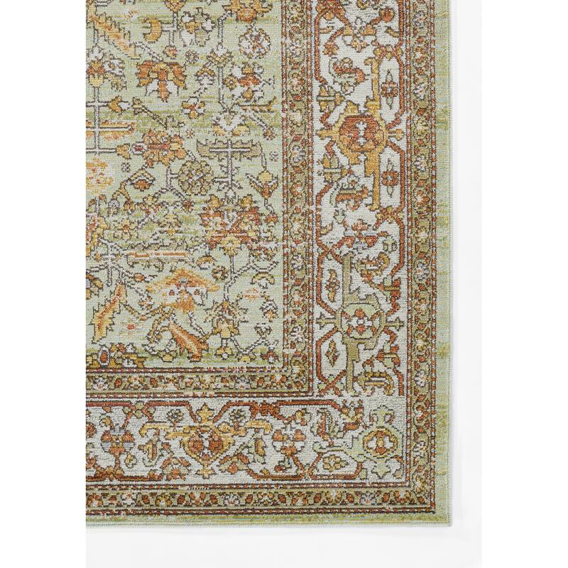 Momeni Lillihan Traditional Area Rug