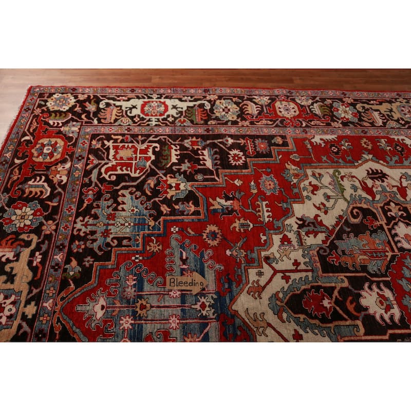 Vegetable Dye Heriz Oriental Area Rug Hand-Knotted Wool Carpet - 10'1"x 13'4"
