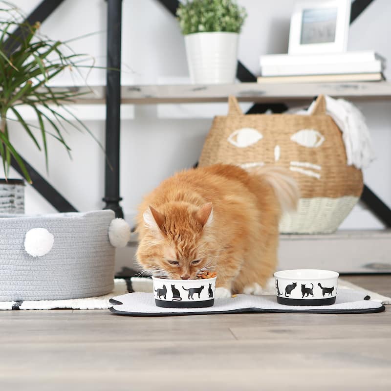 Bone Dry Pet Bowl Cats Meow (Set of 2)