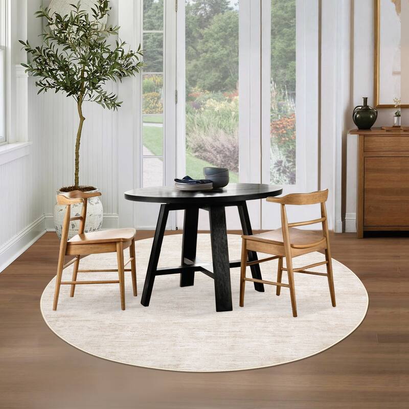 Rugs for Living Room Modern Abstract Area Rug Non-Slip Low Pile Accent Rug Soft Foldable Solid Rug