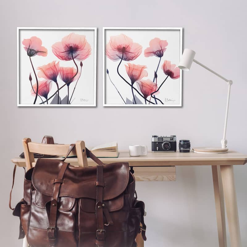 Stupell Various Faded Pink Flowers Framed Giclee Art Design By Albert Koetsier (Set of 2)