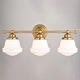preview thumbnail 12 of 11, Huntley Natural Brass Gold Bathroom Vanity Lighting Fixture, White Schoolhouse Milk Glass Globe Shade, Dimmable, LED Compatible