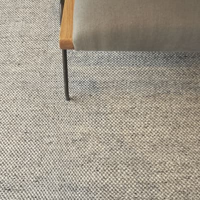 EXQUISITE RUGS Rhodes Hand-loomed PET yarn Beige Area Rug.