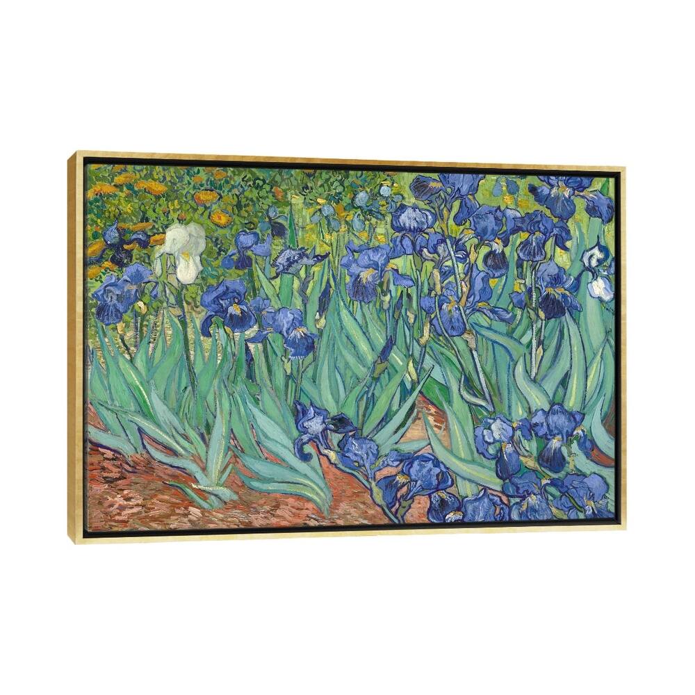 iCanvas "Irises, 1889 " by Vincent van Gogh Framed Canvas Print