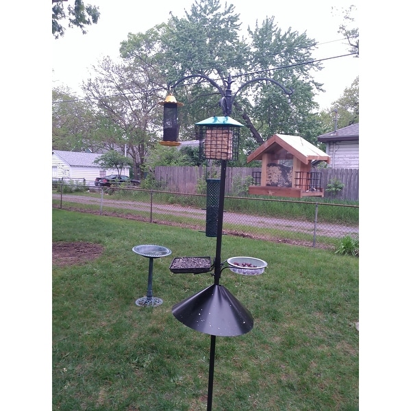 Top Product Reviews For Sorbus Bird Feeding Bath Station Metal