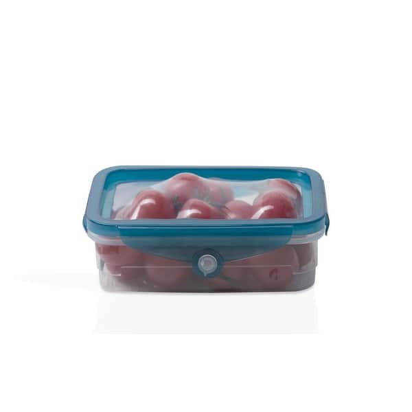 https://ak1.ostkcdn.com/images/products/is/images/direct/b421b85e14b49cc1b4411d9f26b3f300ebdd6535/Handy-Gourmet-Flexi-Top-Containers-JB8430.jpg?impolicy=medium