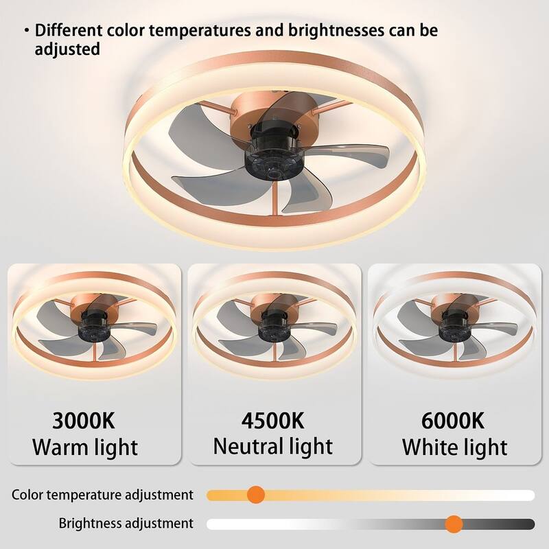 Modern Flush Mount Ceiling Fan with Lights