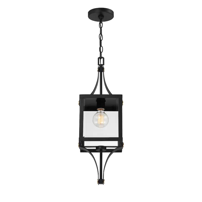 Savoy House 5-475 Raeburn 9" Wide Outdoor Mini Pendant