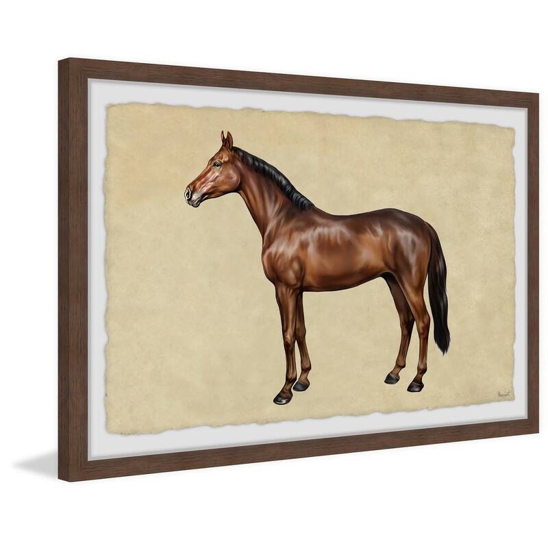 Shiny Coat Framed Print